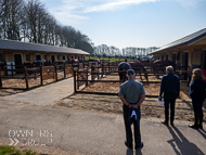 WG250322-9 - Warren Greatrex Stable Visit